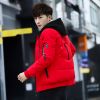 Blouson hiver pour Homme ZDBZ - Ref 3113784