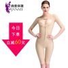 Body JANMY sexy en spandex - Ref 649306
