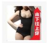 Body - Ref 652065
