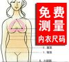 Body - Ref 658069