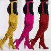 Bottes femme en Daim - Ref 3354687