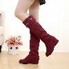 Bottes femme en Daim - Ref 3355238