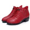 Bottes femme en En cuir - Ref 3355489