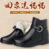 Bottes mi-saison femme Semelles en Caoutchouc - Ref 3250484