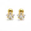 Boucles d'oreilles - Ref 3446950