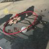 Bracelet de cheville - Ref 3102345