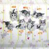 Broche en plexiglas - Ref 1172651