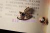 Broche en Alliage argent et plaqué or - Ref 1172976