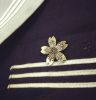 Broche en Alliage argent et plaqué or - Ref 1176299