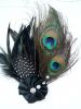 Broche homme en plume - Ref 1176718