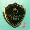 Broche en Alliage argent et plaqué or - Ref 1183109
