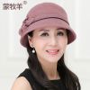 Chapeau pour femme en Poilue - Ref 3233920