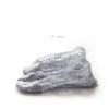 Chaussettes - collants Ref 754802