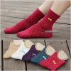 Chaussettes - collants Ref 761453