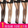 Chaussettes - collants simple Ref 765827