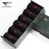  Chaussettes - collants SEPTWOLVES Ref 775227