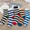 Chaussettes - collants BILL ALWAYS Ref 778920