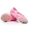 Chaussons de danse - Ref 3447668