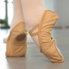 Chaussons de danse - Ref 3447830