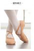 Chaussons de danse - Ref 3447868