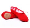 Chaussons de danse - Ref 3447913