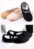 Chaussons de danse - Ref 3447930