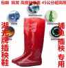 Chaussures - bottes caoutchouc homme pour été Ref 973095