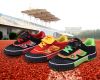 Chaussures de football - Ref 2441832