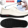 Chaussures de golf - Ref 849323