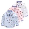Chemise garçon YYYG à manche longue - Ref 2082368