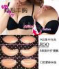  Coques pour soutien-gorge - Ref 810626
