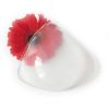  Coques pour soutien-gorge BEAUTYFORM - Ref 818698