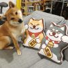 Coussin Manga - Ref 2684425