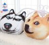 Coussin Manga - Ref 2685543