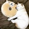 Coussin Manga - Ref 2686101