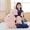 Coussin Manga - Ref 2687622
