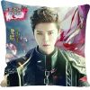 Coussin Manga - Ref 2687917