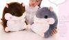 Coussin Manga - Ref 2688382
