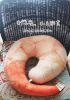 Coussin Manga - Ref 2690201