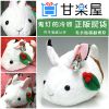 Coussin Manga TAITO - Ref 2692402
