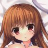 Coussin Manga SHAMOE - Ref 2692986