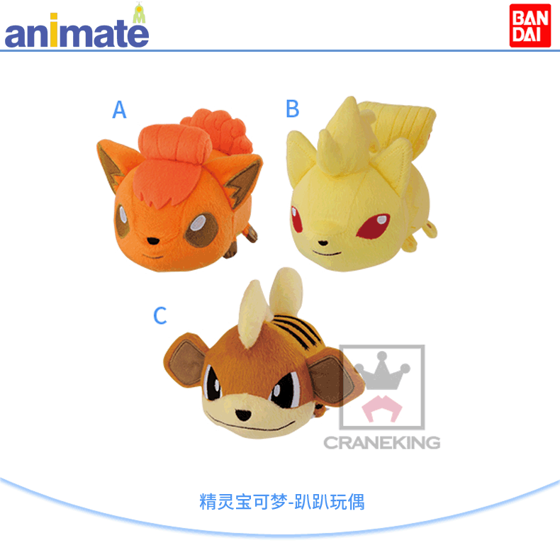 Coussin Manga ANIMATE - Ref 2693300