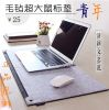 Coussin chauffant USB Dismo simple - Ref 421785