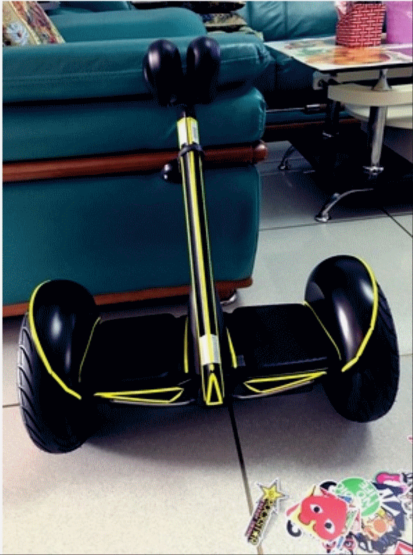 Déco pour vélo - Ref 2282328