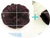 Extension cheveux - Chignon - Ref 231837