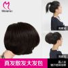 Extension cheveux - Chignon - Ref 235535
