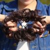 Extension cheveux - Chignon - Ref 239513