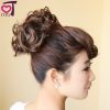 Extension cheveux - Chignon - Ref 240804