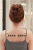 Extension cheveux - Chignon - Ref 249492