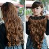 Extension cheveux - Queue de cheval - Ref 247637